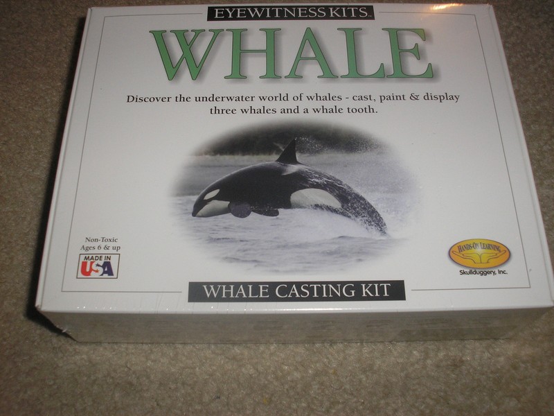New Factory Sealed Eyewitness Kits Whale Skullduggery Ages 6 and up