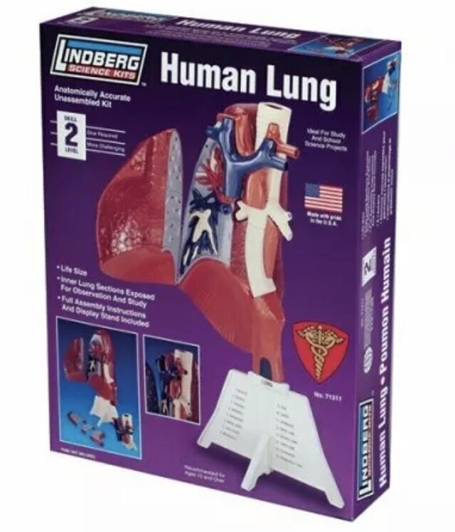 LINDBERG ~ HUMAN LUNG ~ SCIENCE KIT ~ NEW