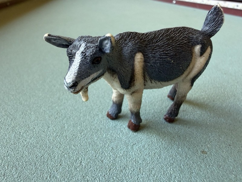 Safari LTD 2007 PYGMY NANNY GOAT Figure Farm Animal Pet Figurine Toy Barnyard