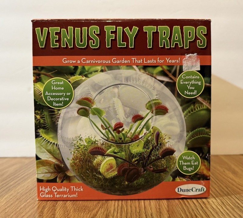 Dune Craft Venus Fly Trap Garden Grow Your Own In Glass Terrarium NEW IN BOX