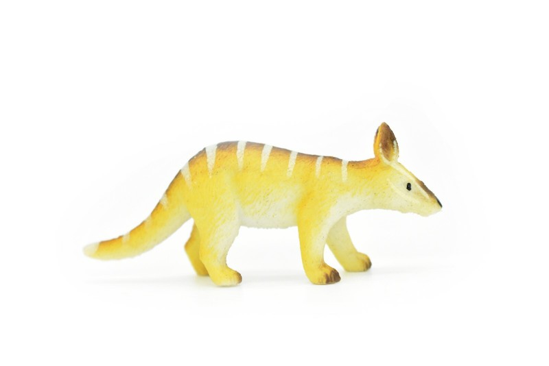 Numbat, Walpurti, Very Nice Plastic Animal, 3″ CWG116 B237