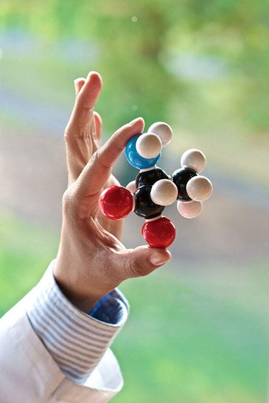 Chemistry Molecular Model Kit (444 Pieces), Student or Teacher Set for Organi... gallery
