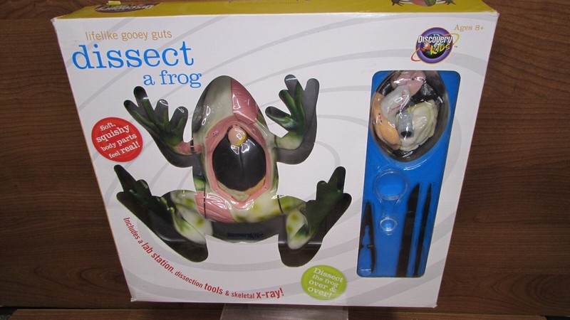 Discovery Kids STEM Dissect a Frog Model Soft Squishy Kit Complete in Box 2006