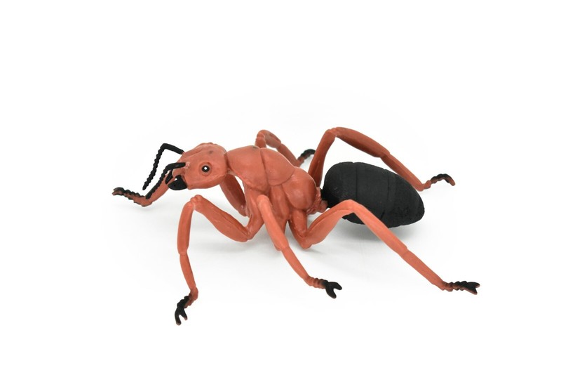 Red Ant Carpenter, Realistic Toy Rubber Replica 5 inches long – F2064 B134