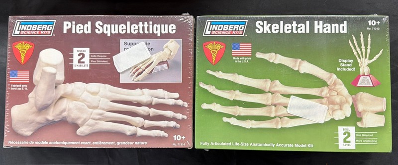Lindberg Life Size Articulated Skeletal Hand & Foot model kits – Sealed -C6