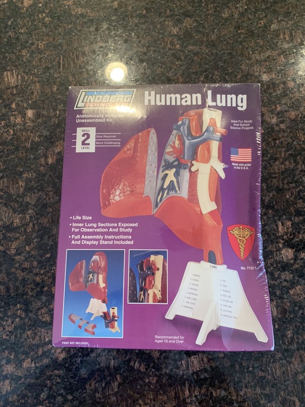 New Lindberg Human Lung Anatomically Accurate Science Model Kit MSRP $28.99