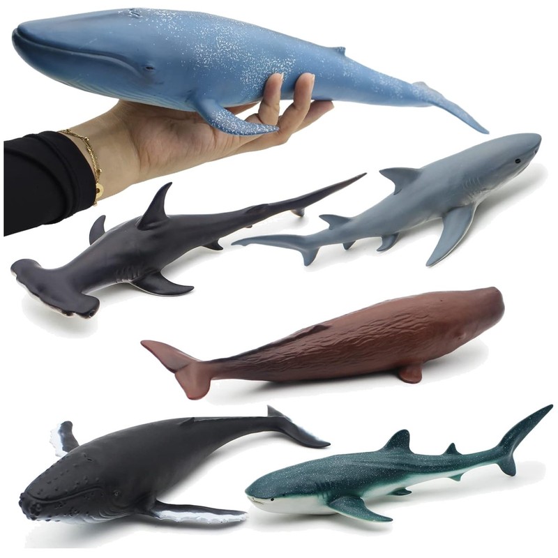 Realistic Ocean Marine Animal Figures – Set of 6