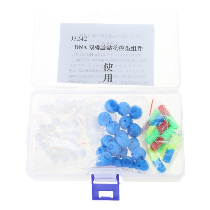 Double Helix DNA Models For Classroom Teaching Demonstration And Laboratory