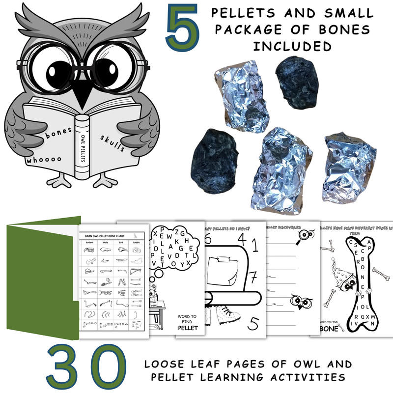 5 Med 1″-2″ Owl Pellets, Fun Owl/Pellet Workbook (30pgs)/Sm Pkg Bones/Bone Chart