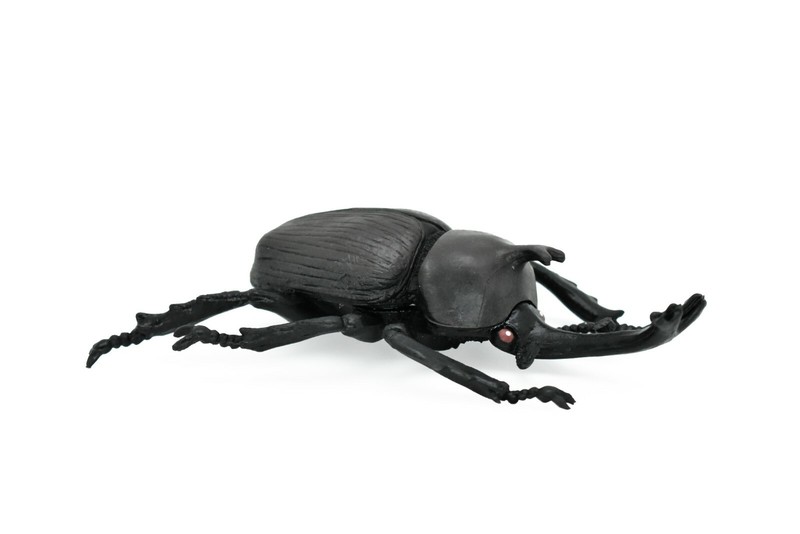 Beetle Rhinoceros, Black, Very Nice Rubber Replica 5 1/2″ CWG82 B153