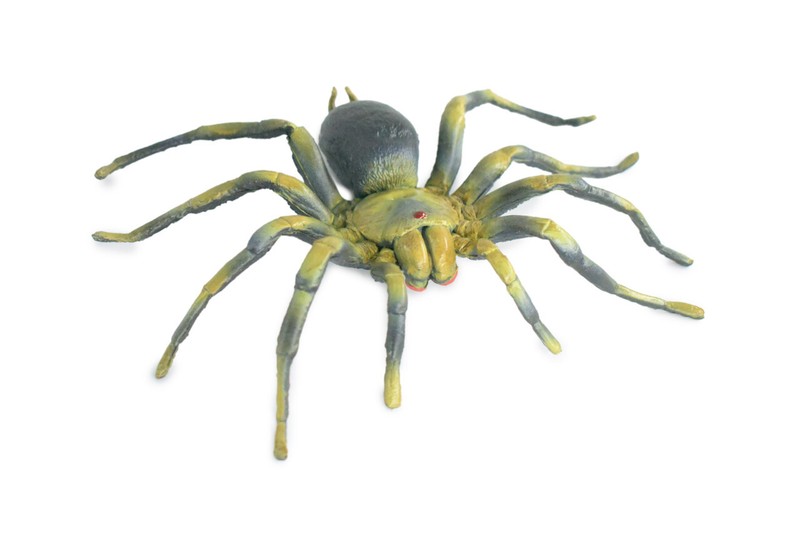 Realistic Tarantula Spider Toy Hand Painted, Hard Rubber Model, 5″ IM21 B654