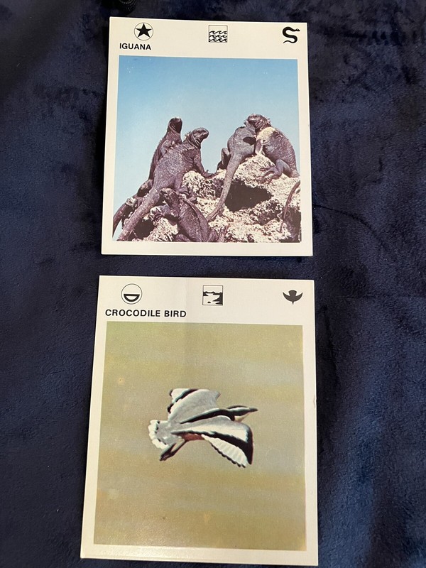 2 ANIMAL CARDS FROM 1975 LEISURE BOOKS SET CROCODILE BIRD and IGUANA