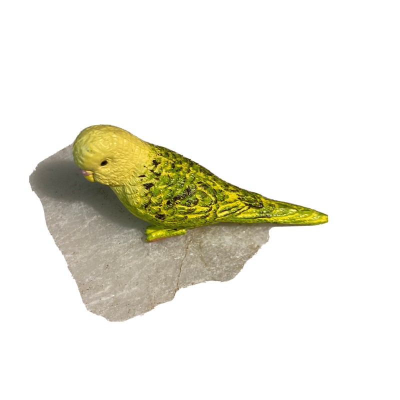 Safari Ltd Parakeet Figure Collectible toy