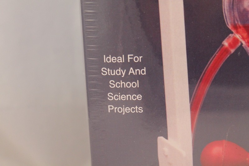 Lindberg Science Kits 11 Inch Pumping Heart Model Kit 71316 Sealed Skill Level 2 gallery