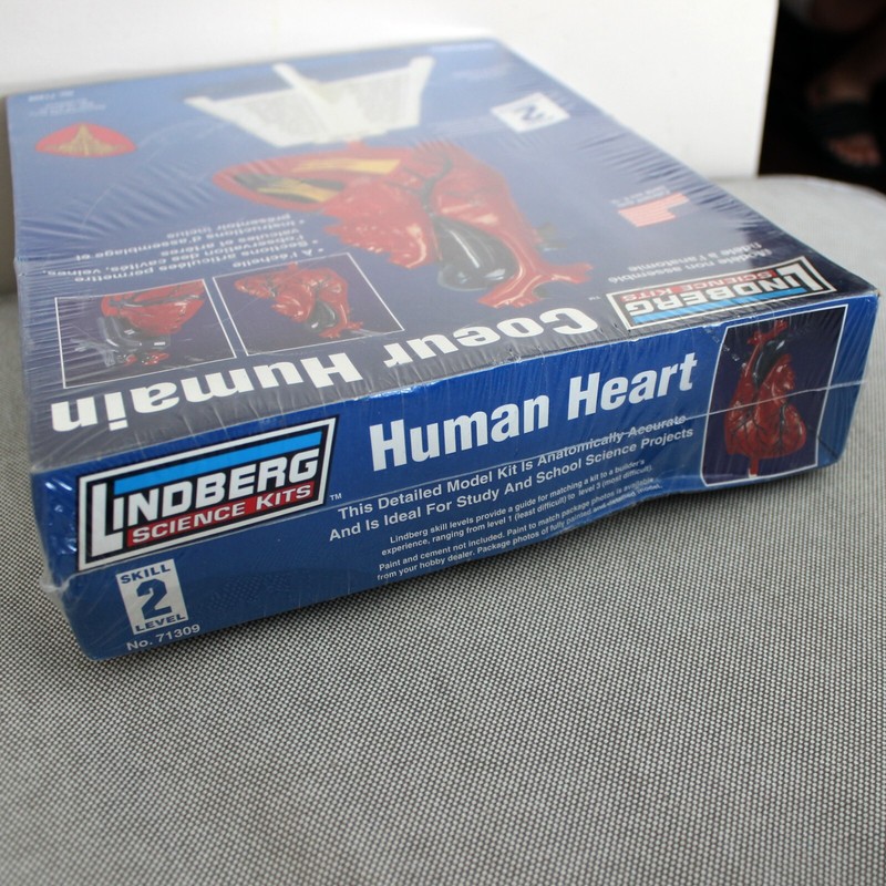 new sealed Lindberg Science Kits Human Heart model kit No.71309 Skill Level 2 gallery
