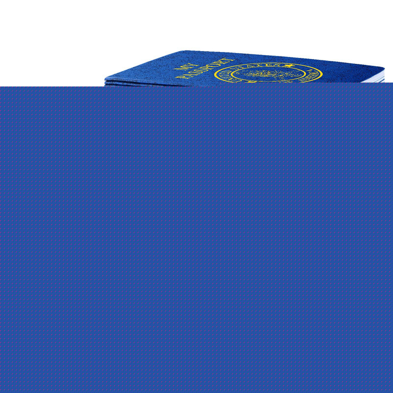 Woanger 200 Pcs Blank Passport For Kids Book Passport Notebook Blue Bulk 4 X