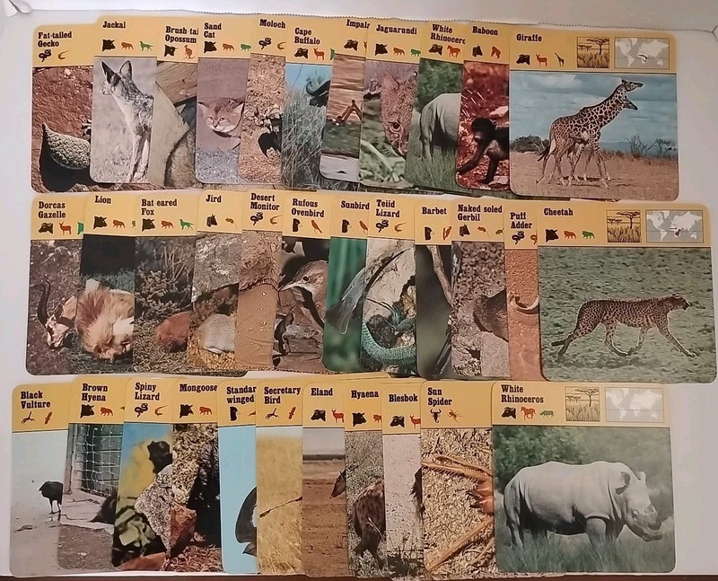 Safari Cards 1975 Vintage Editions Rencontre Wildlife Animal Education 34 Total