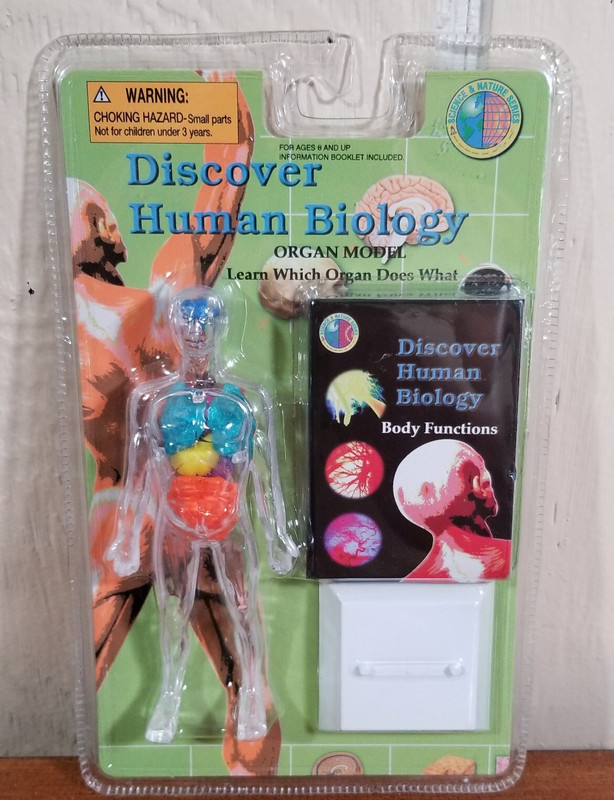 Discover Human Biology Organ Model Figure Science & Nature Series W/ Booklet New