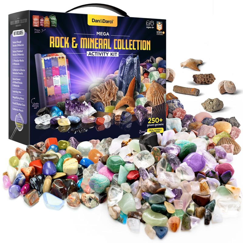 Dan&Darci Rock Collection for Kids – 250+ Bulk Rocks, Gemstones & Crystals