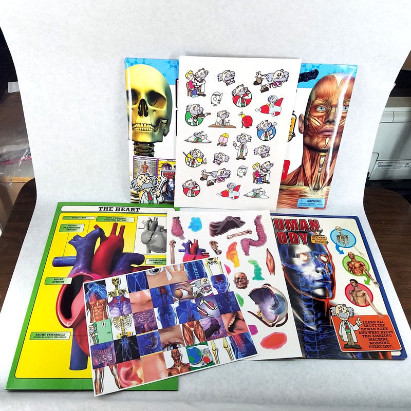 Tormont HUMAN BODY Sticker Activity Pack for Ages 7+ Anatomy – Homeschool