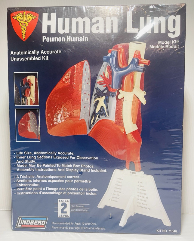 Lindberg Science Kit-Human Lung Model- VTG 1996 NEW and Sealed-Level 2 Skill.