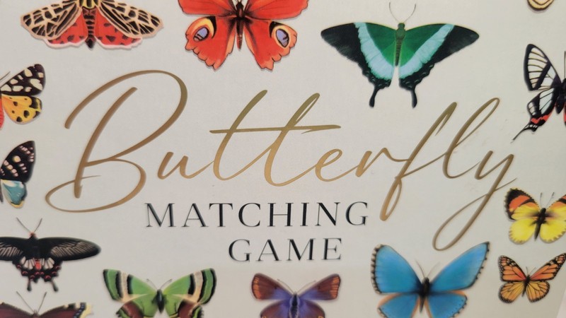 Butterfly Matching Game 48 Matching Cards Diane Neukirch 2023 NEW gallery