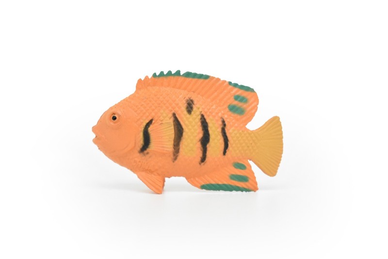 Angelfish Toy, Flame Ciclid, Realistic Tropical Fish, Plastic Replica 2″ CWG273