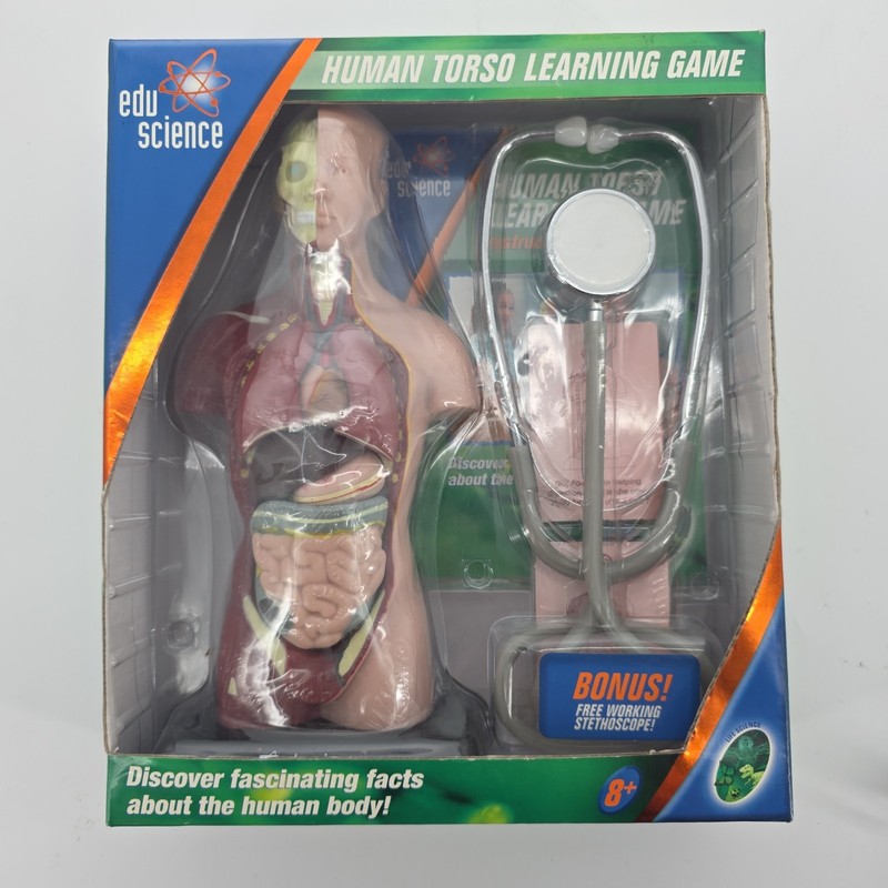 Edu Science Human Torso Learning Game Science Kit w/ Bonus Working Stethoscope gallery