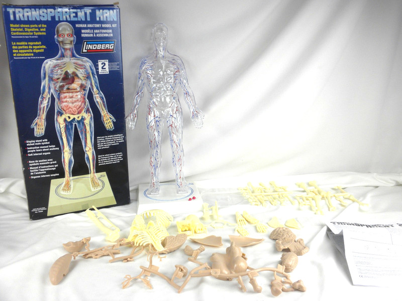 Lindberg Transparent Man Science Anatomy Model Kit # 76009 Open Box- Complete