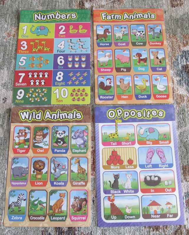Preschool Educational Learning 11″ x 15.75″ Laminated Poster – Animals + More