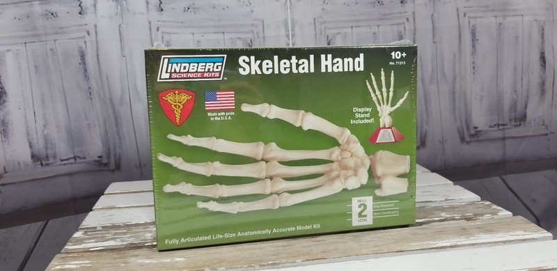 Lindberg Science Kits Skill 2 hand anatomy skeleton Educational Lloyd 71313 bone