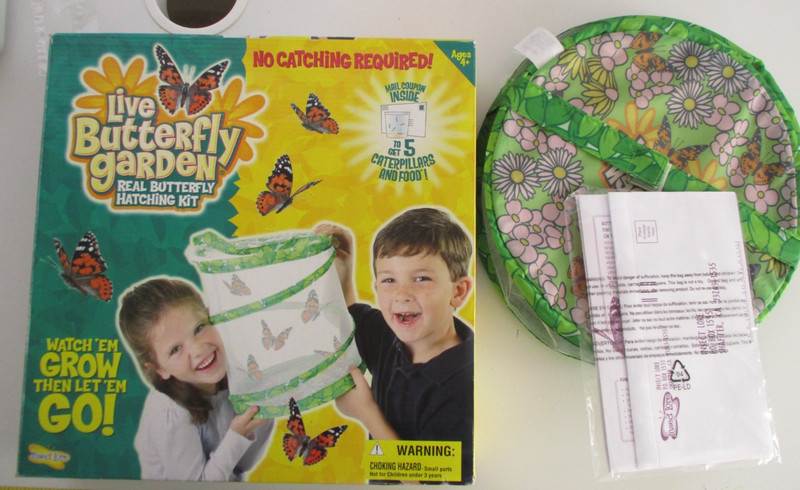 Live Butterfly Pavilion Real Butterfly Hatching Kit Insect Lore Science Kit