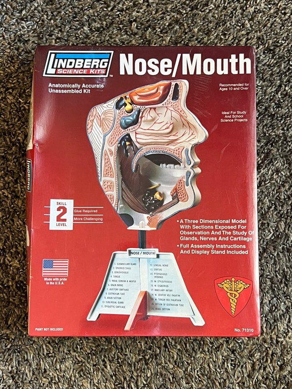 Lindberg Science Kit #71310 Nose/Mouth Anatomically Accurate Unassembled Kit 10+