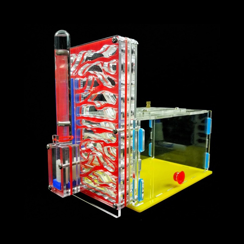 DIY T-Design Ant Easy Installation For Observing Ant Behaviors Bedroom/Kitc