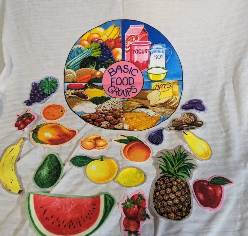 Learning Visual Felt Food Groups Kit Homeschool Montessori Classroom HTF Game