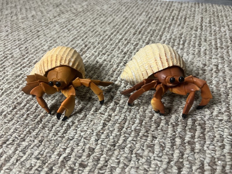 2 Jumbo Hermit Crab Incredible Creatures Figure Safari Ltd Toys Educational Set
