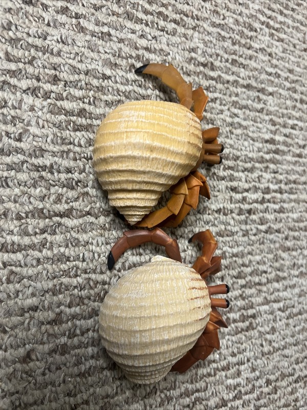 2 Jumbo Hermit Crab Incredible Creatures Figure Safari Ltd Toys Educational Set gallery