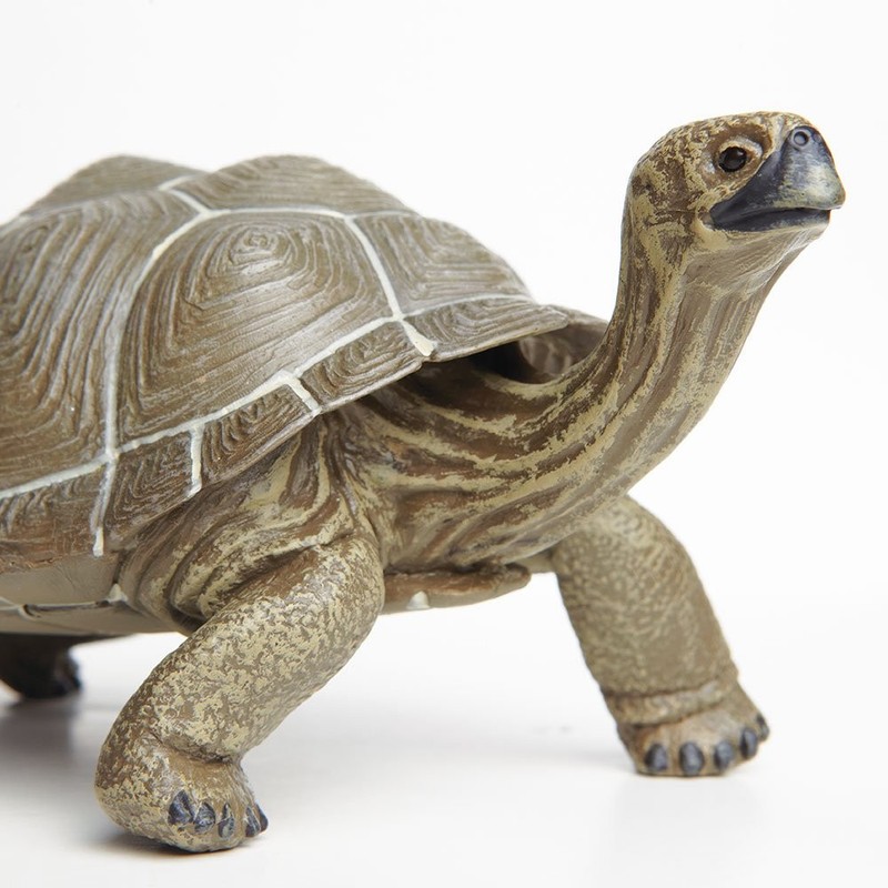 Safari Ltd. Tortoise Figurine - Detailed 8.5" Plastic Model Figure - Fun Educ... gallery
