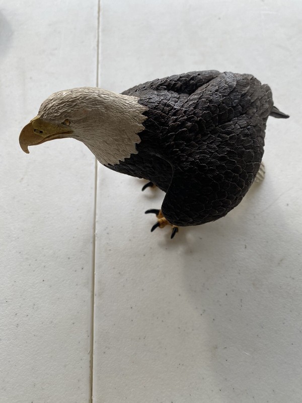 Safari Ltd BALD EAGLE 7″ Figure Bird Animal Figurine Toy 2008 J12