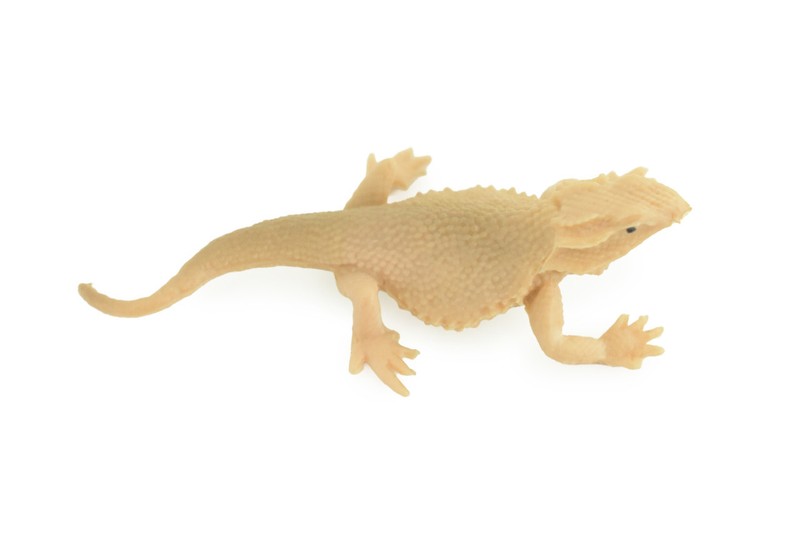 Horny Toad Toy, Realistic Hand Painted Rubber Horned Lizard, 2.5" CH930 BB204