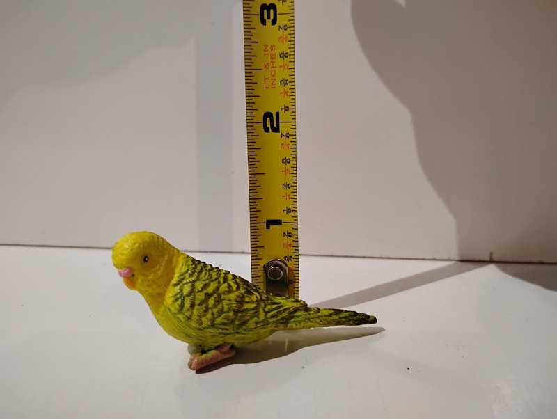Safari Ltd Parakeet Figure Collectible toy gallery