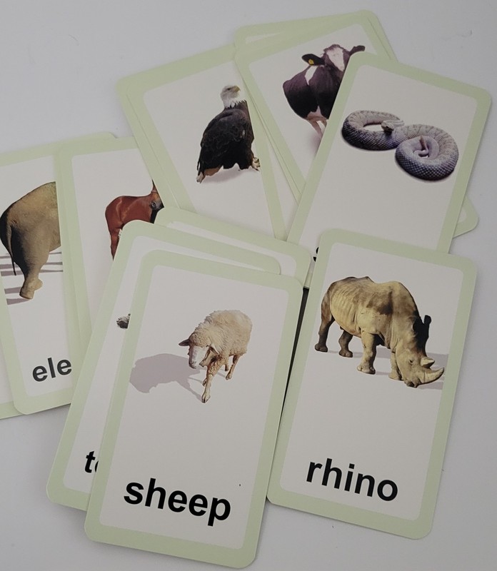 Animal Flashcards Flash Cards Set Of 26 Thick Durable gallery