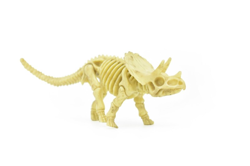 Triceratops Dinosaur, Bones one-piece skeleton replica 5 1/2″ – F3287 B61