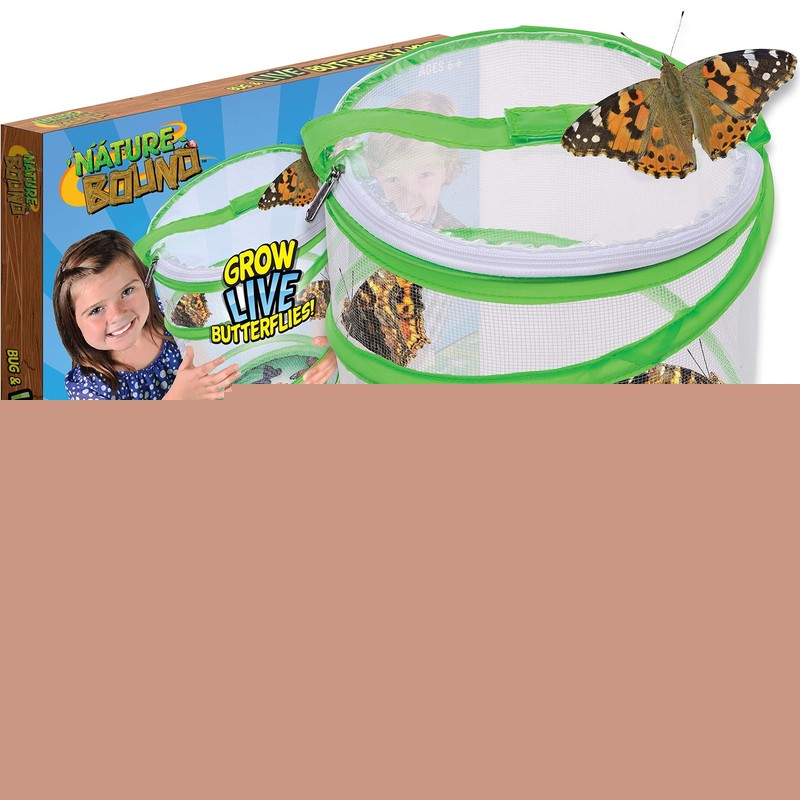 Nature Bound Butterfly Growing Kit – Live Caterpillar to Butterfly Project for K