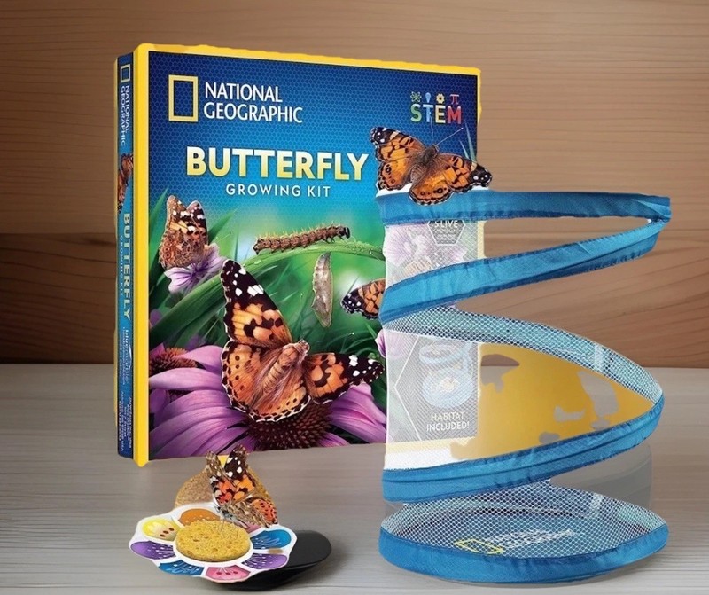 🦋 National Geographic- Caterpillar Butterfly Habitat [Free Shipping]