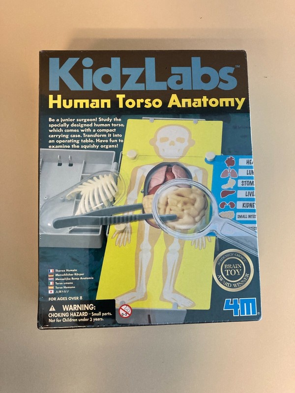 KIDZ LABS HUMAN TORSO ANATOMY – KIDS HUMAN BODY SCIENCE & ACTIVITY KIT Brand new