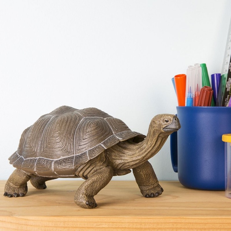 Safari Ltd. Tortoise Figurine - Detailed 8.5" Plastic Model Figure - Fun Educ... gallery