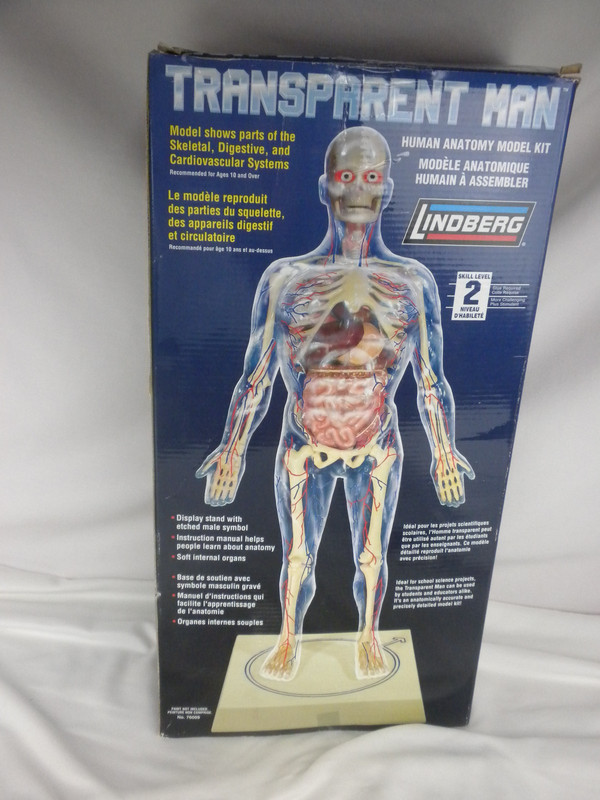 Lindberg Transparent Man Science Anatomy Model Kit # 76009 Open Box- Complete gallery