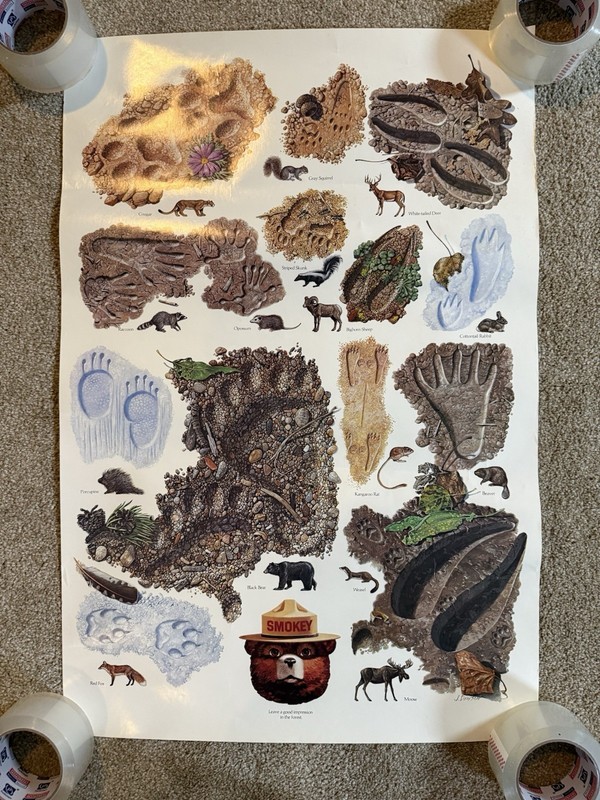 VTG Leave A Good Impression In The Forest Animal Print Smokey The Bear Poster