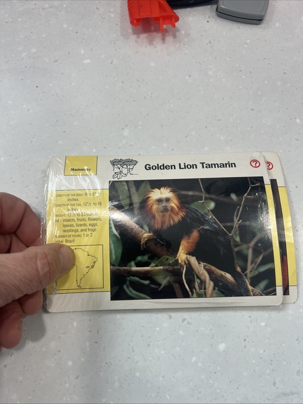 VTG Grolier, Inc Zoological Education Cards Over 20 Cards 1992 Mammals